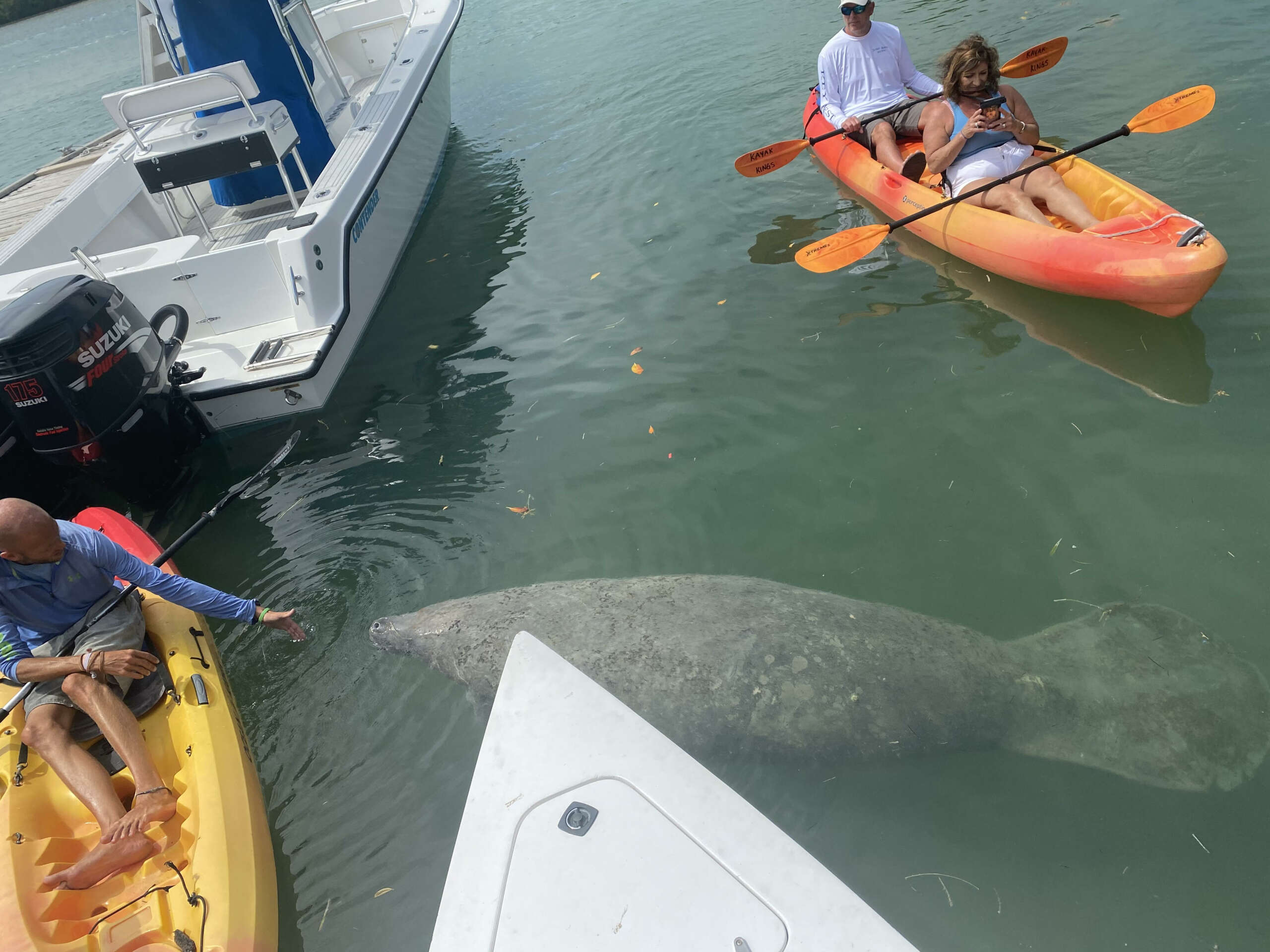 stock rock manatee key west